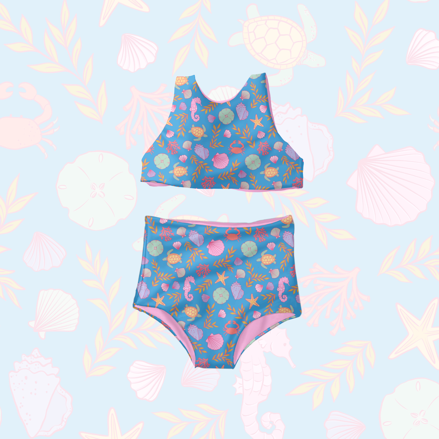 Pastel Coastal Shells