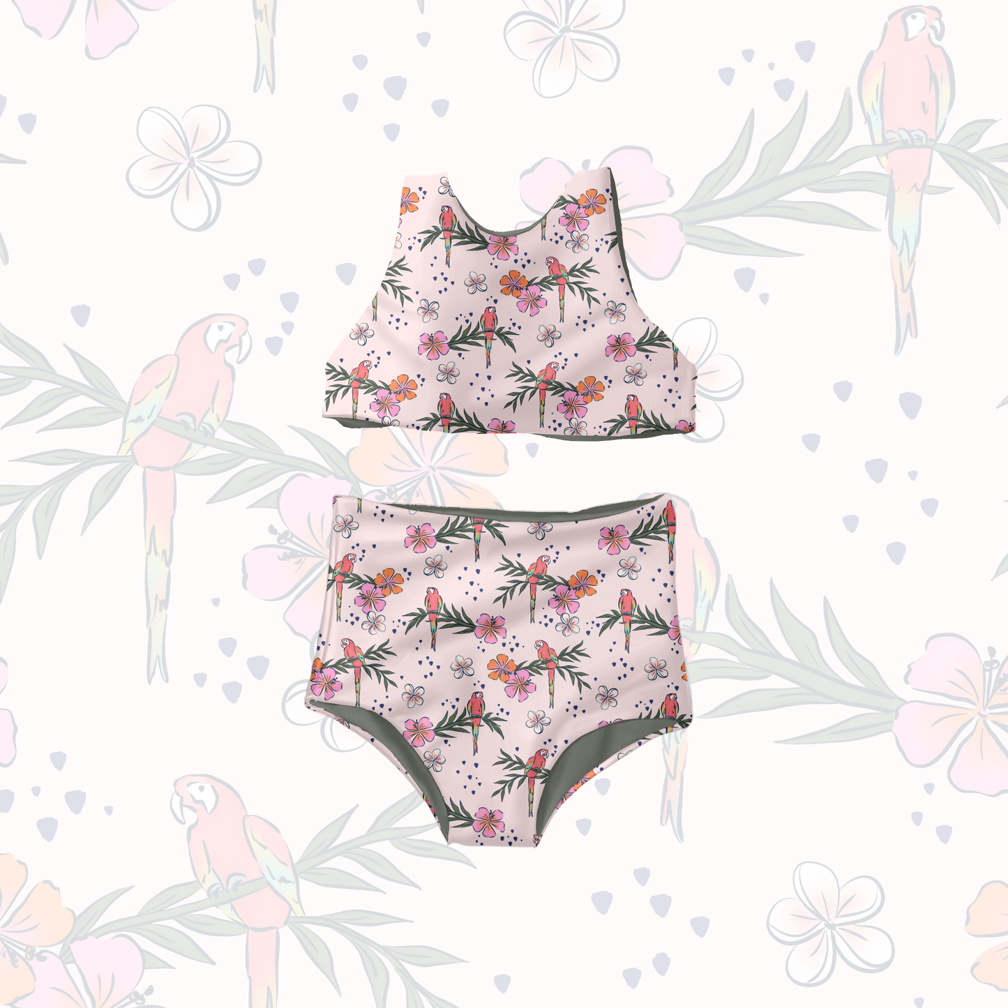 Tropical Parrots