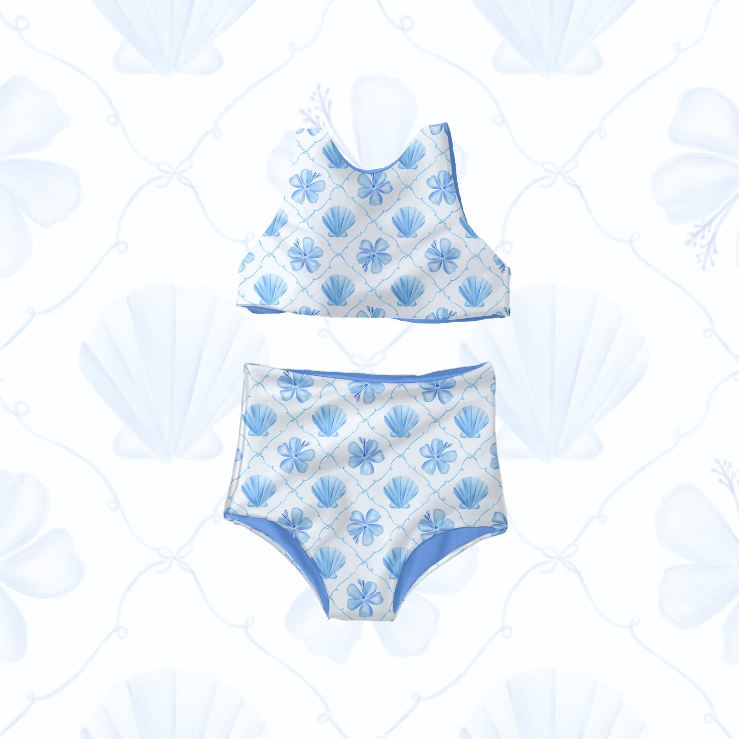 Coquette coastal shells