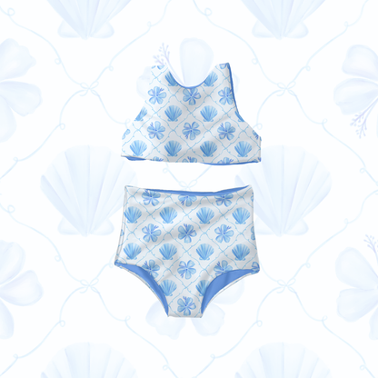 Coquette coastal shells