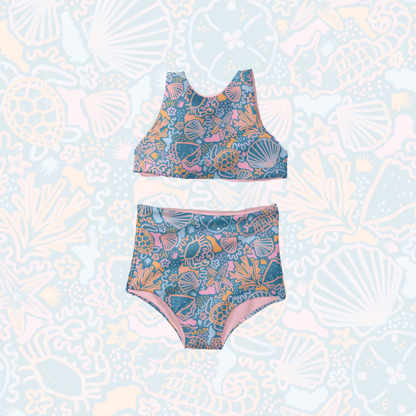 Vibrant Coastal Shells