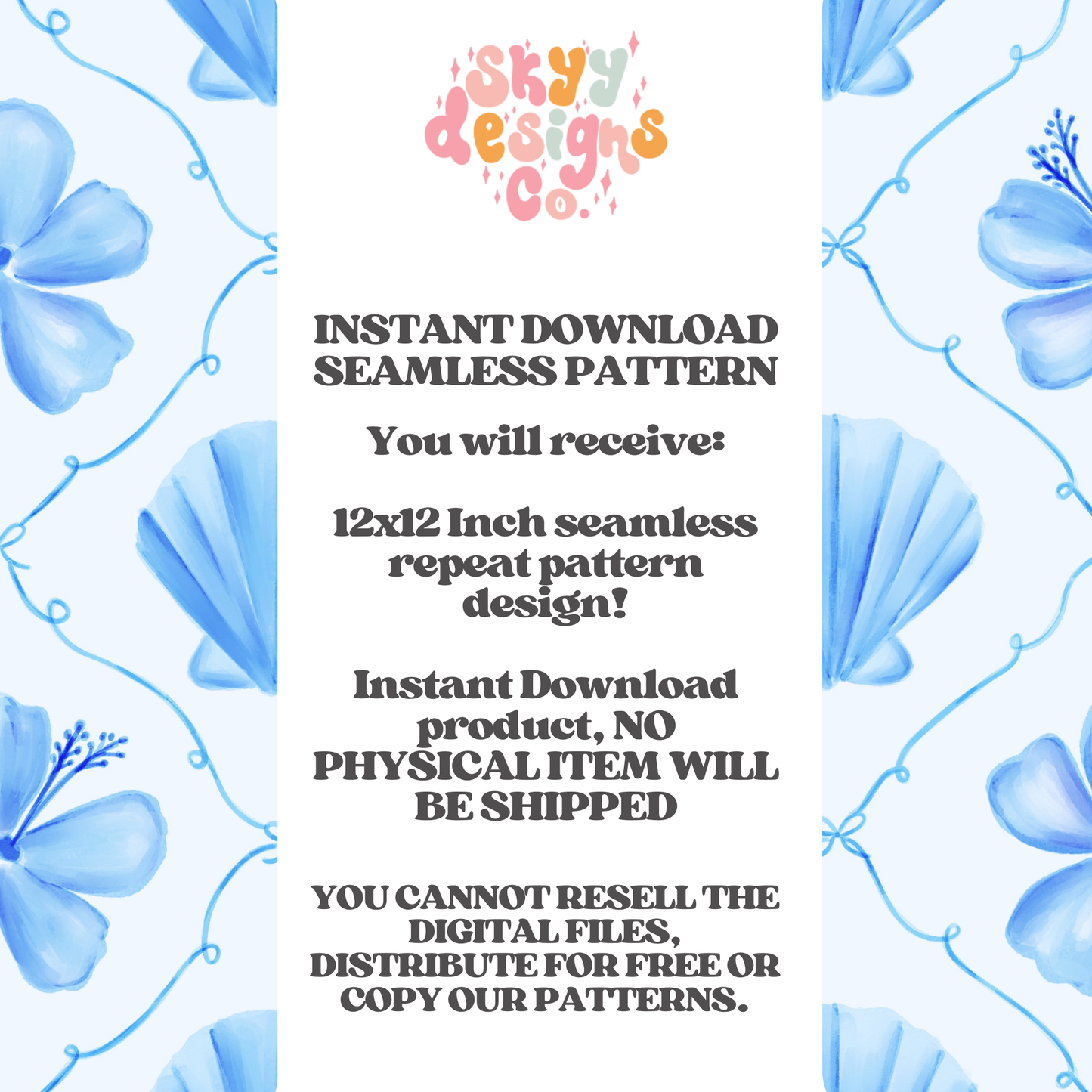 Coquette coastal shells