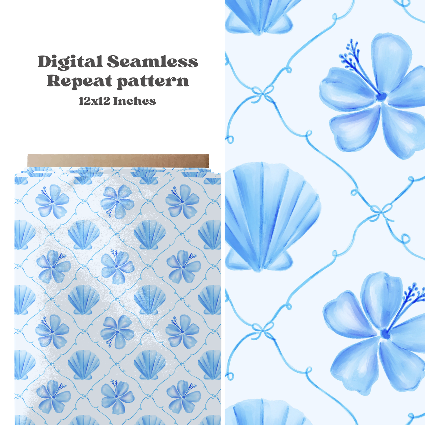 Coquette coastal shells