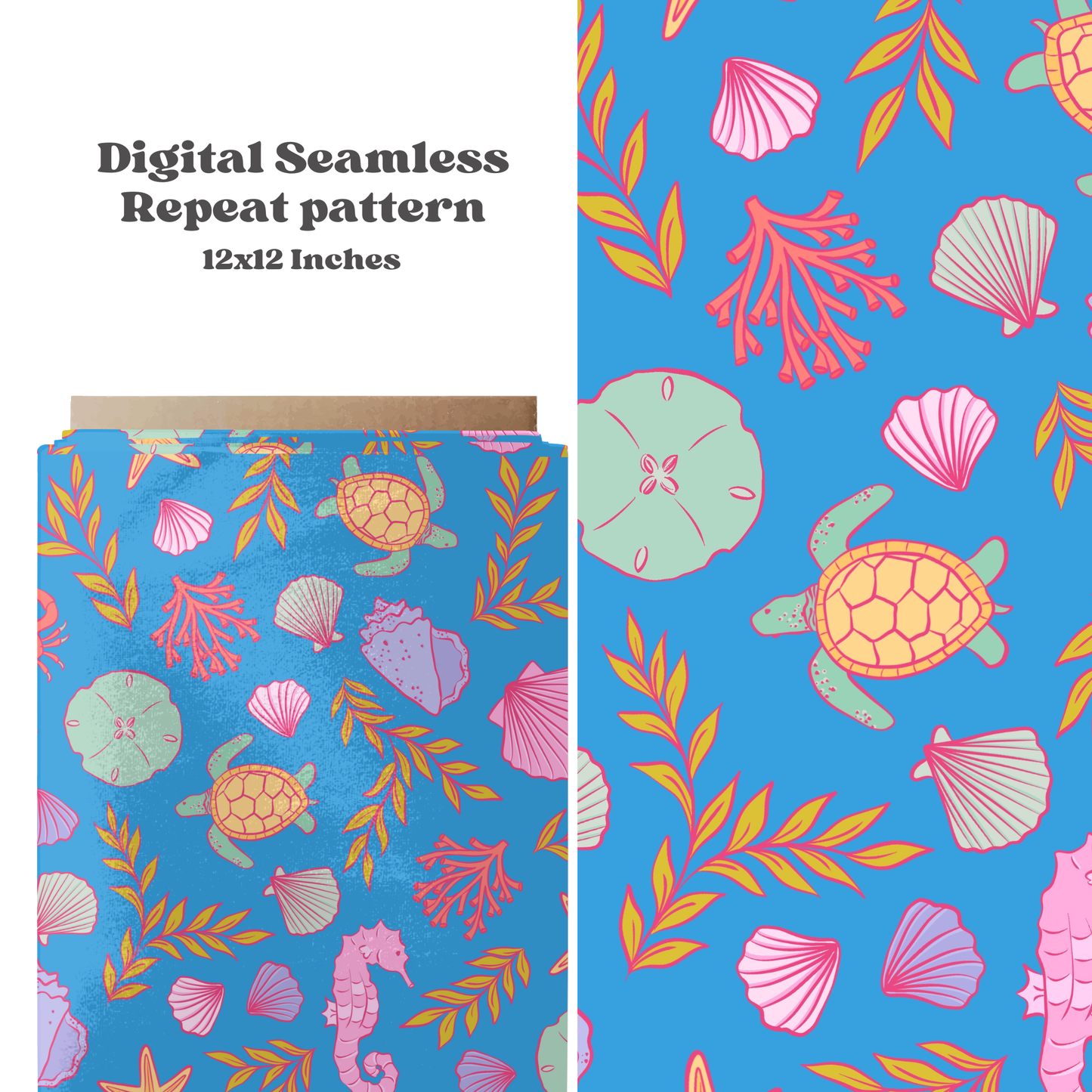 Pastel Coastal Shells