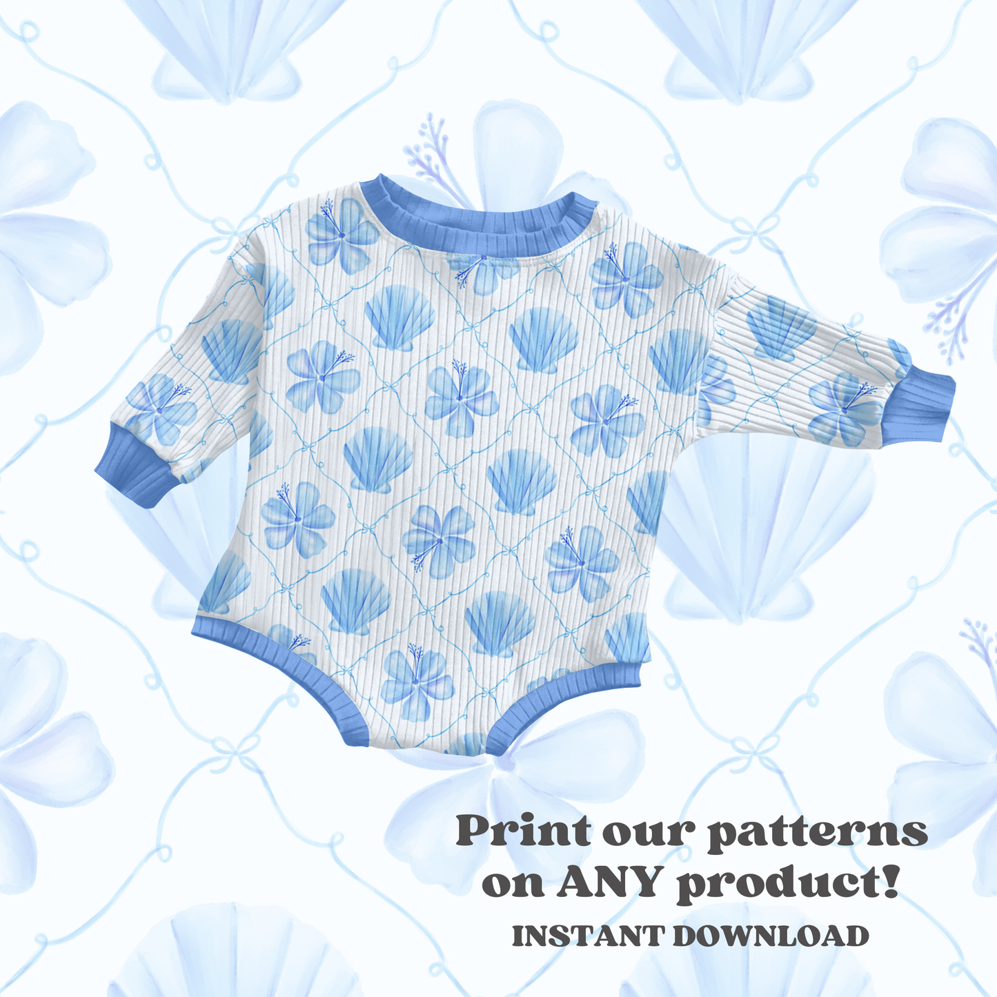 Coquette coastal shells