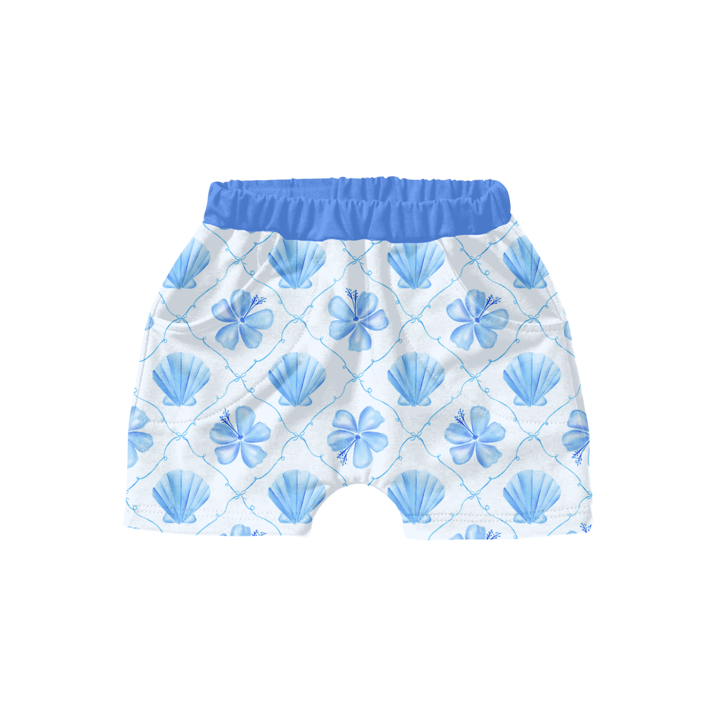 Coquette coastal shells